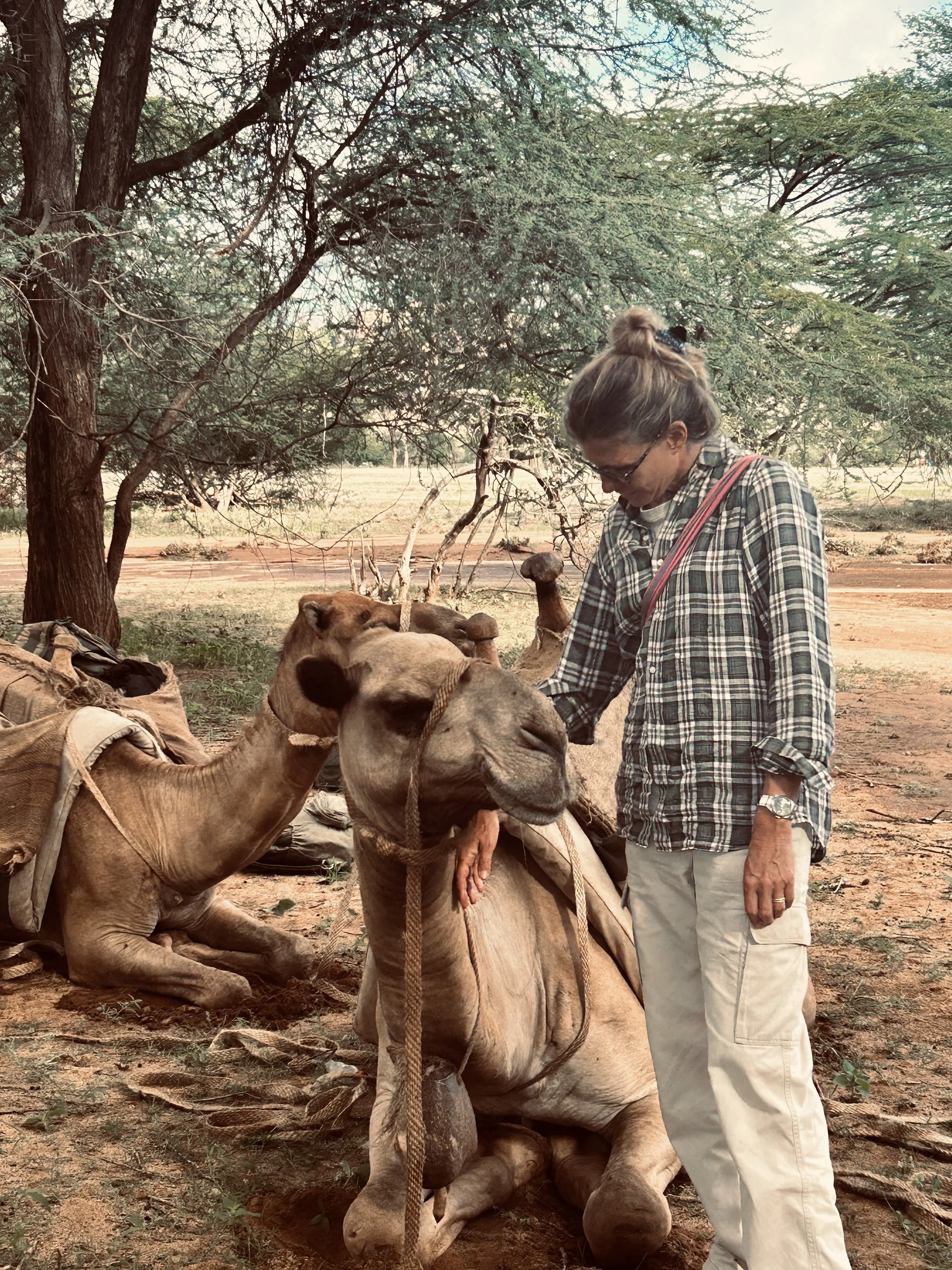 Camel Safari Kenya