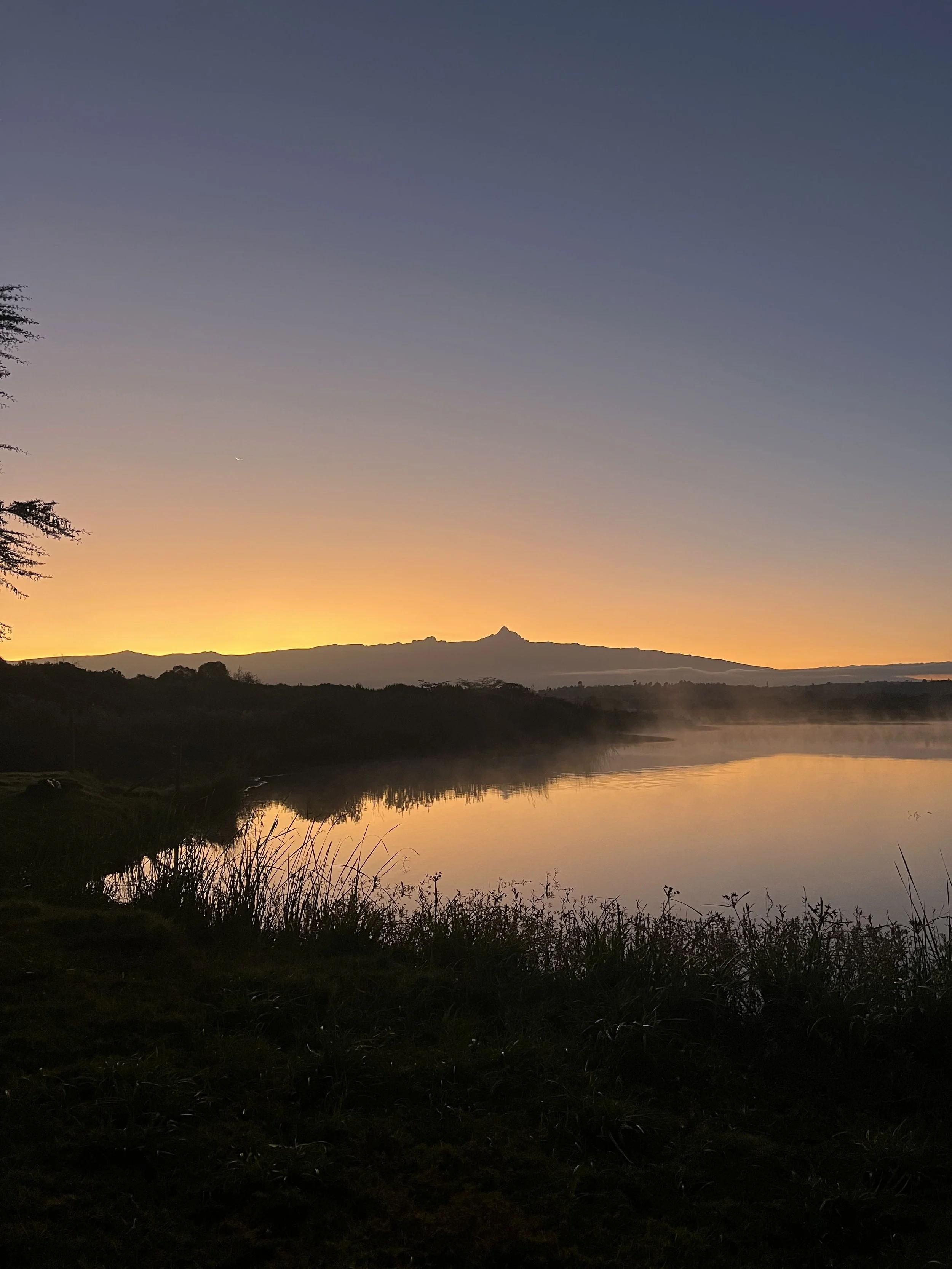 Mount Kenya Day Hike Immersion Safaris