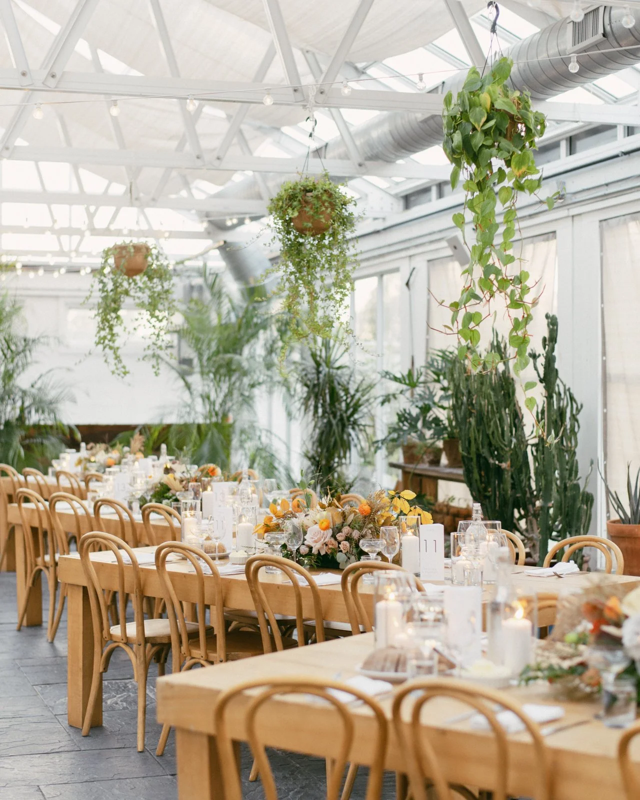 Indoor event space decorated with hanging plants, surrounded by rows of wooden chairs and tables with floral centerpieces, candles, and glassware, in a bright greenhouse with large windows and exposed ductwork.
