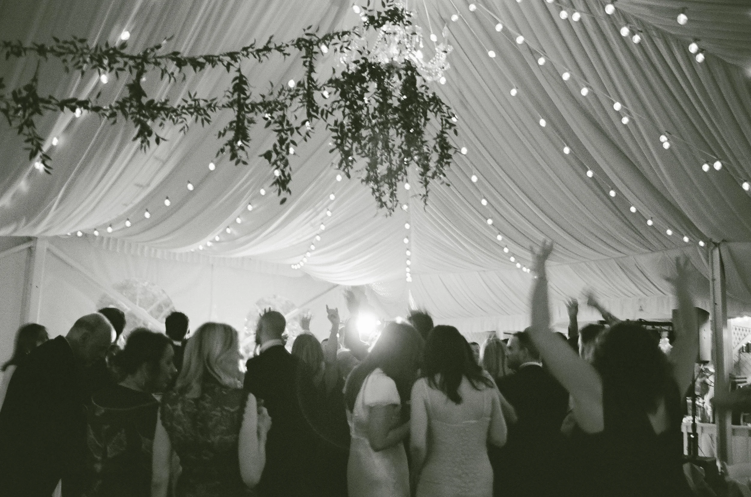 Crowd of people attending an event in a decorated tent with hanging string lights and greenery.