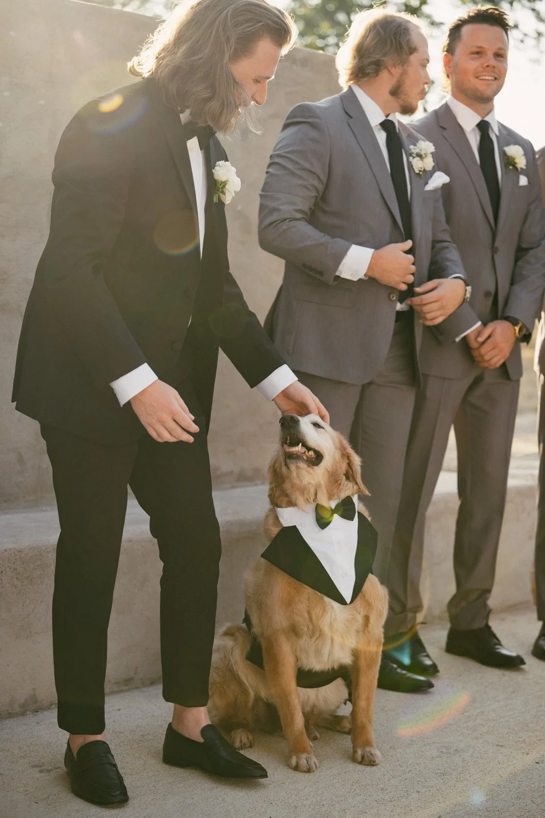 A man in a tuxedo petting a golden retriever wearing a tuxedo vest and bow tie at a wedding ceremony.