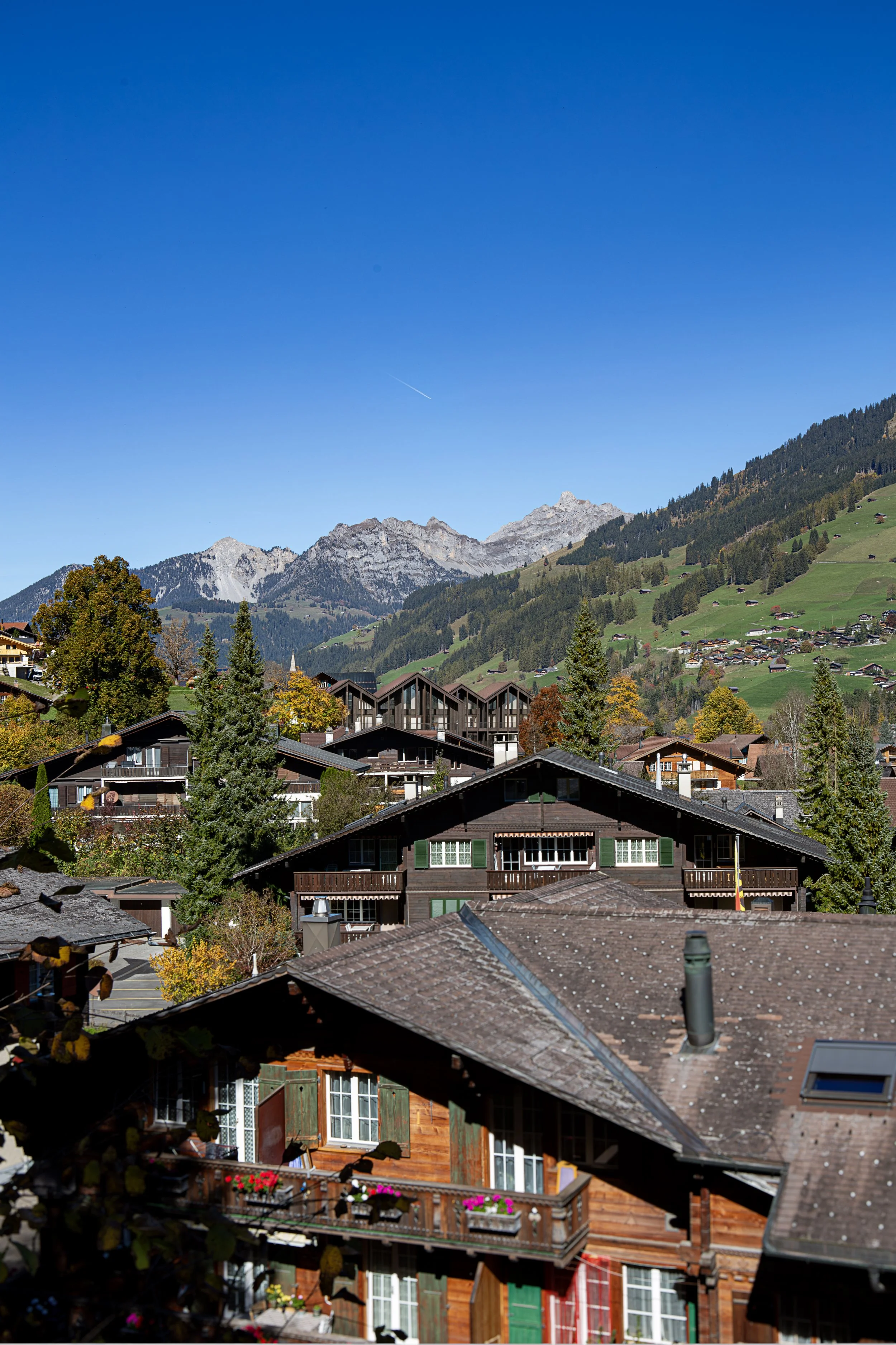 Hotel Lima Lenk