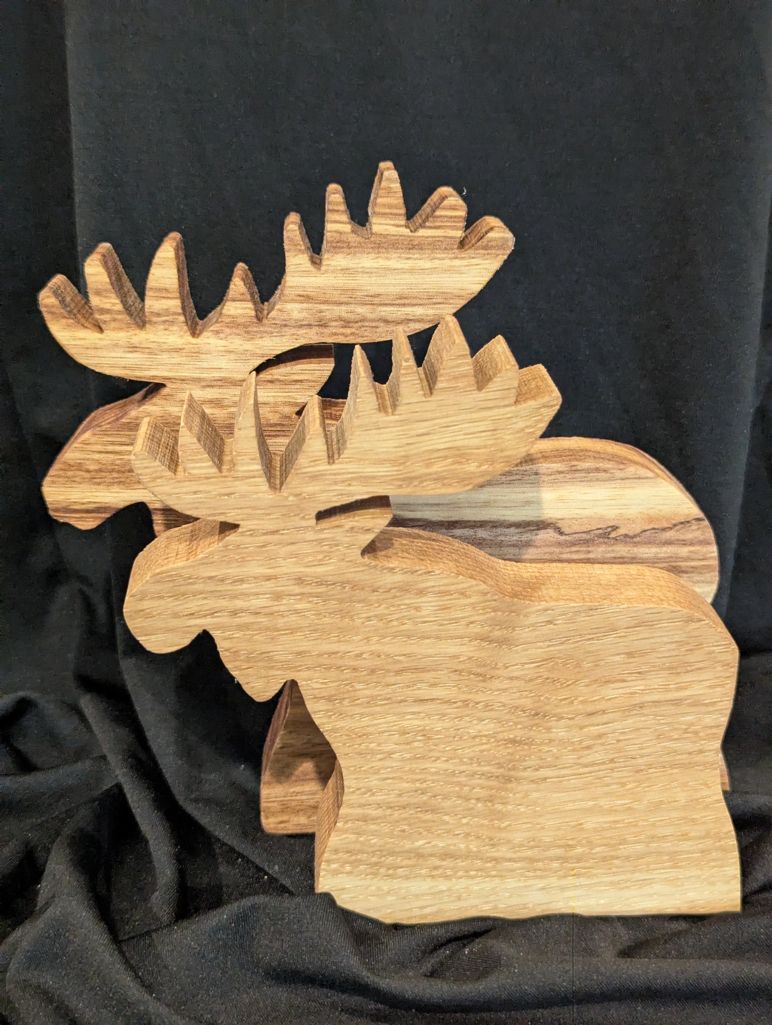 Moose (Oak) - medium and large.jpg