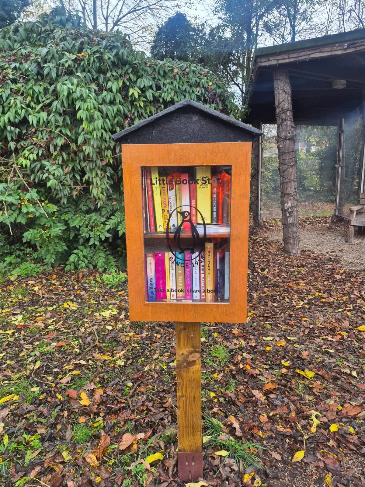 A small outdoor library box with glass door, filled with books, stands on a wooden post in a park with fallen leaves and green bushes nearby.