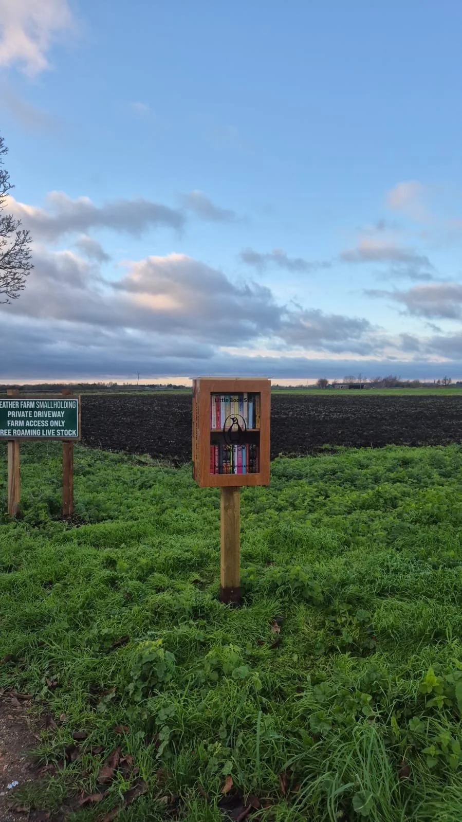 A small outdoor bookshelf on a wooden post in a grassy field with a sign nearby, open sky with clouds, farmland in the background.