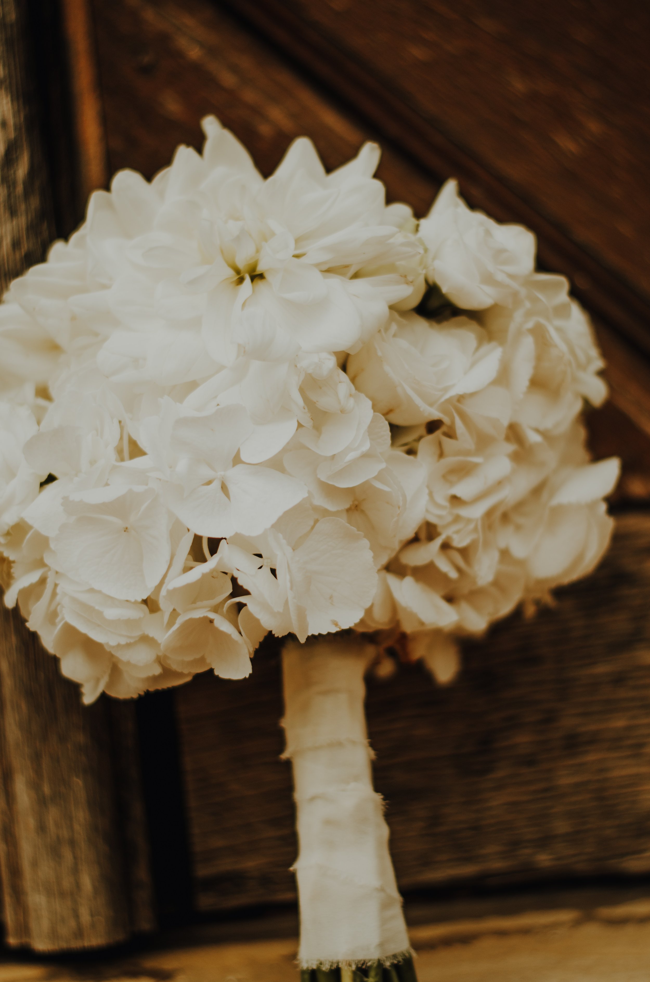 Weiße Hortensienblumen vor einem dunklen Holzschild