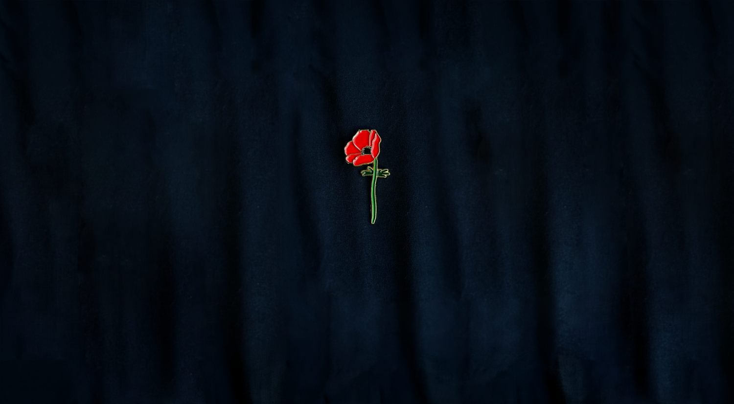 Close-up of a small red Crown Anemone flower pin on dark fabric.