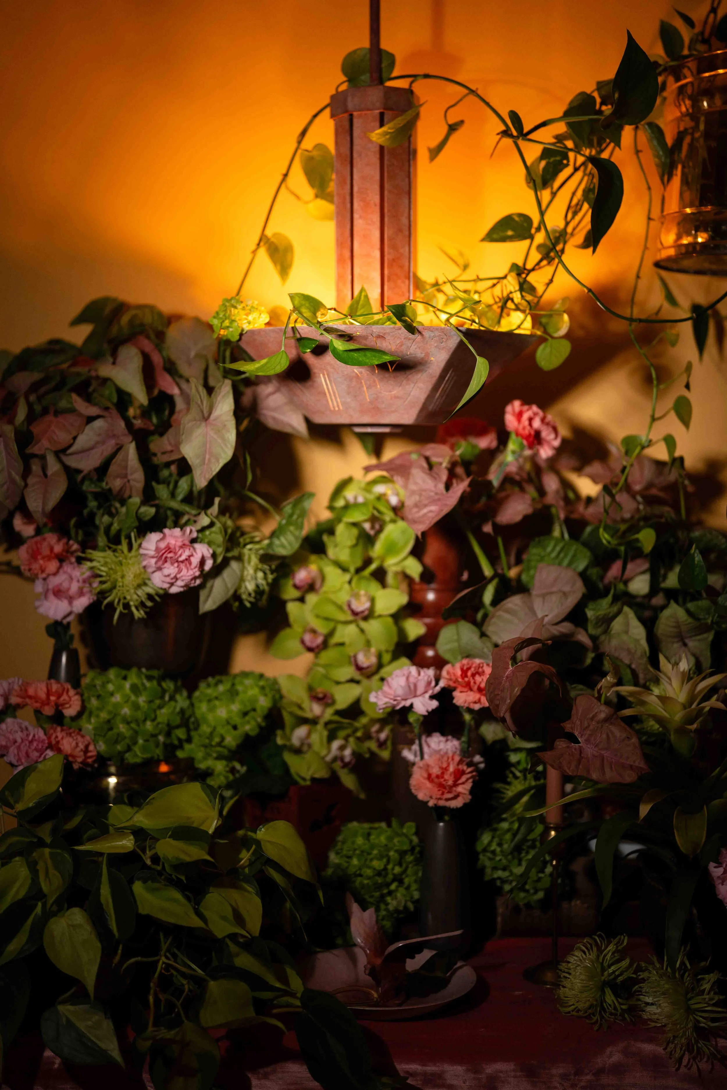 A floral arrangement with pink, green, and purple flowers, surrounded by various green leaves and plants on a wooden surface with a yellowish wall in the background.
