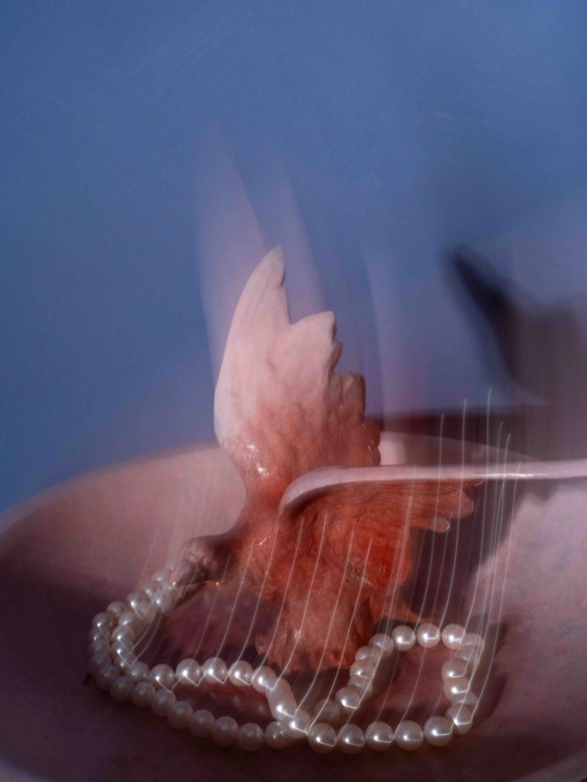 A clear plastic container with a string of white pearls, a red object, and a hand with an index finger pointing, against a blue background.
