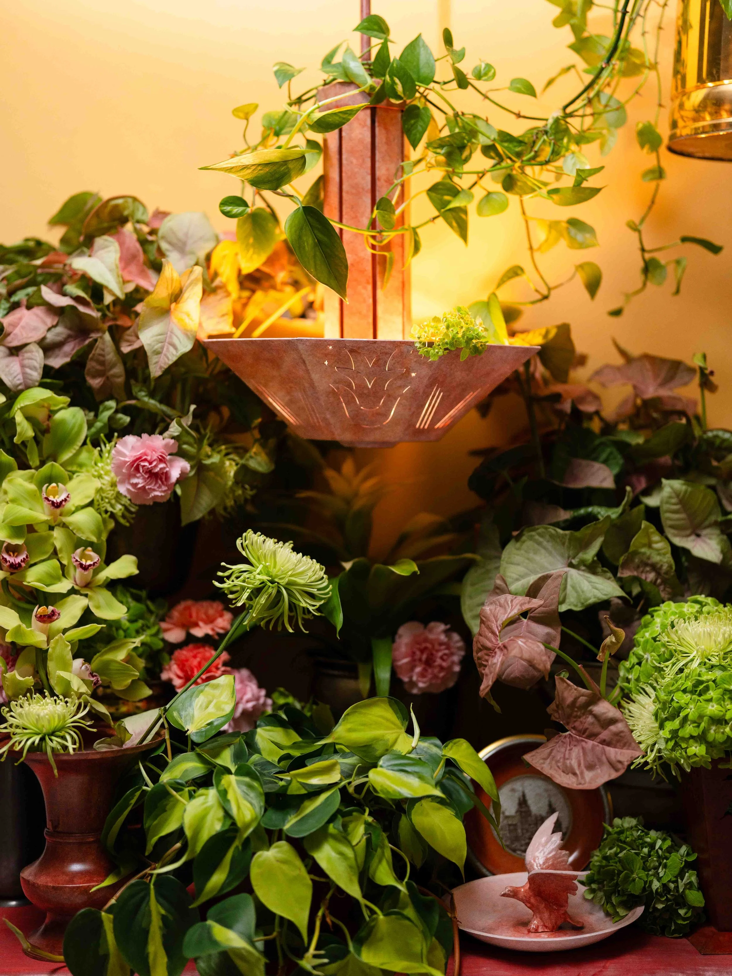 A variety of potted houseplants with lush green leaves, arranged around a decorative lamp and figurines on a pink surface against a yellow wall.
