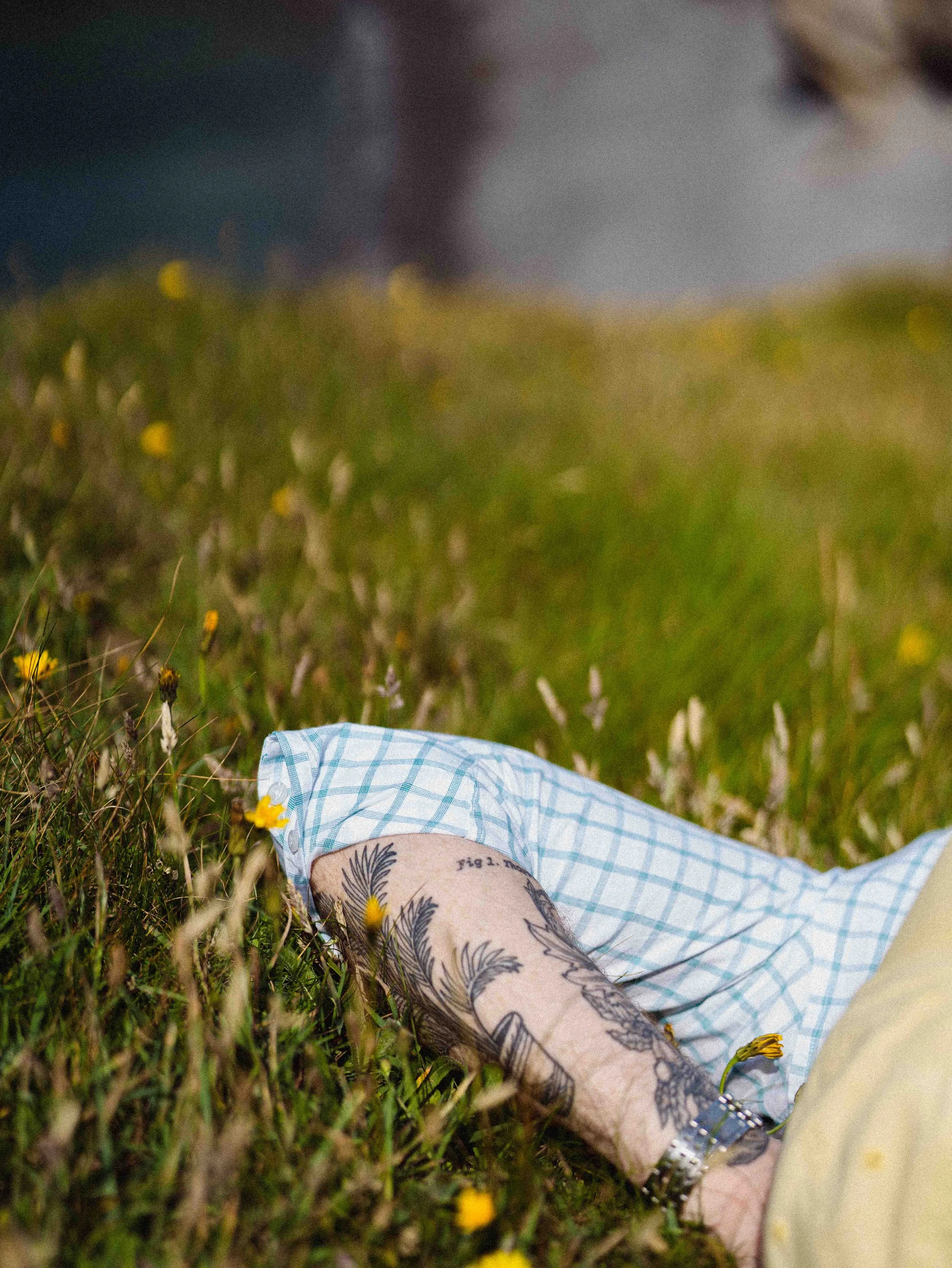 Close-up of a person's tattooed arm and hand with a silver watch, resting on grass with yellow flowers, wearing a blue checkered shirt, in a meadow with green grass and yellow flowers.