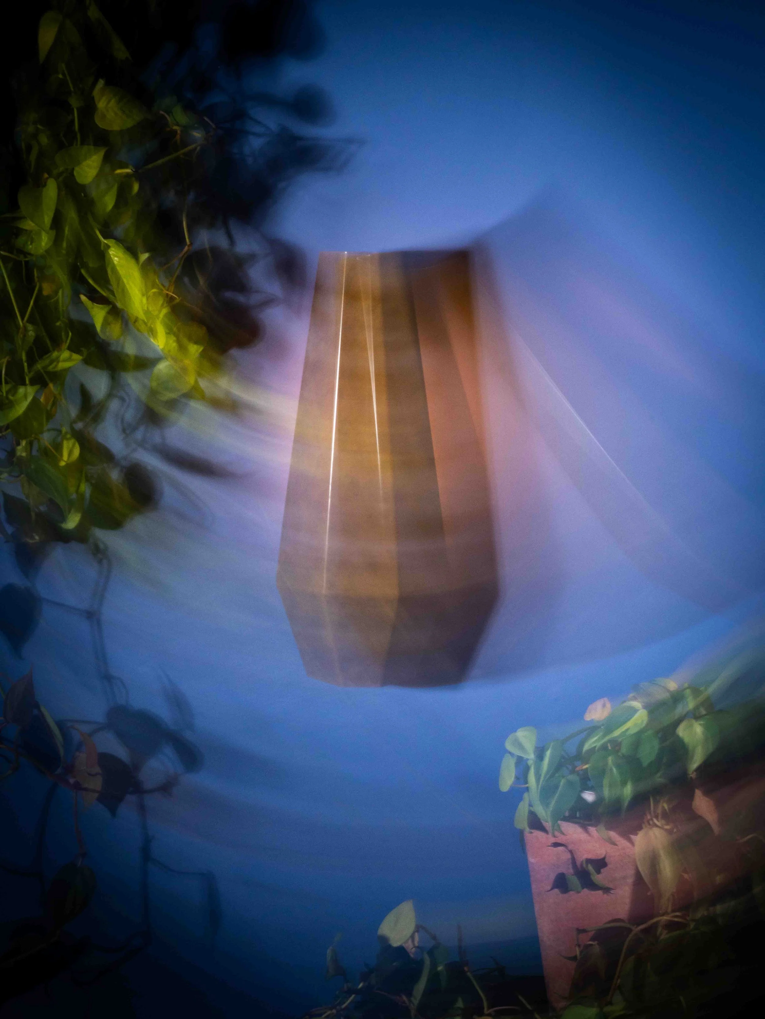 A potted plant with green leaves on the left side, a rectangular wooden panel or box in the middle, and a background of a dark blue sky transitioning into lighter shades toward the horizon.