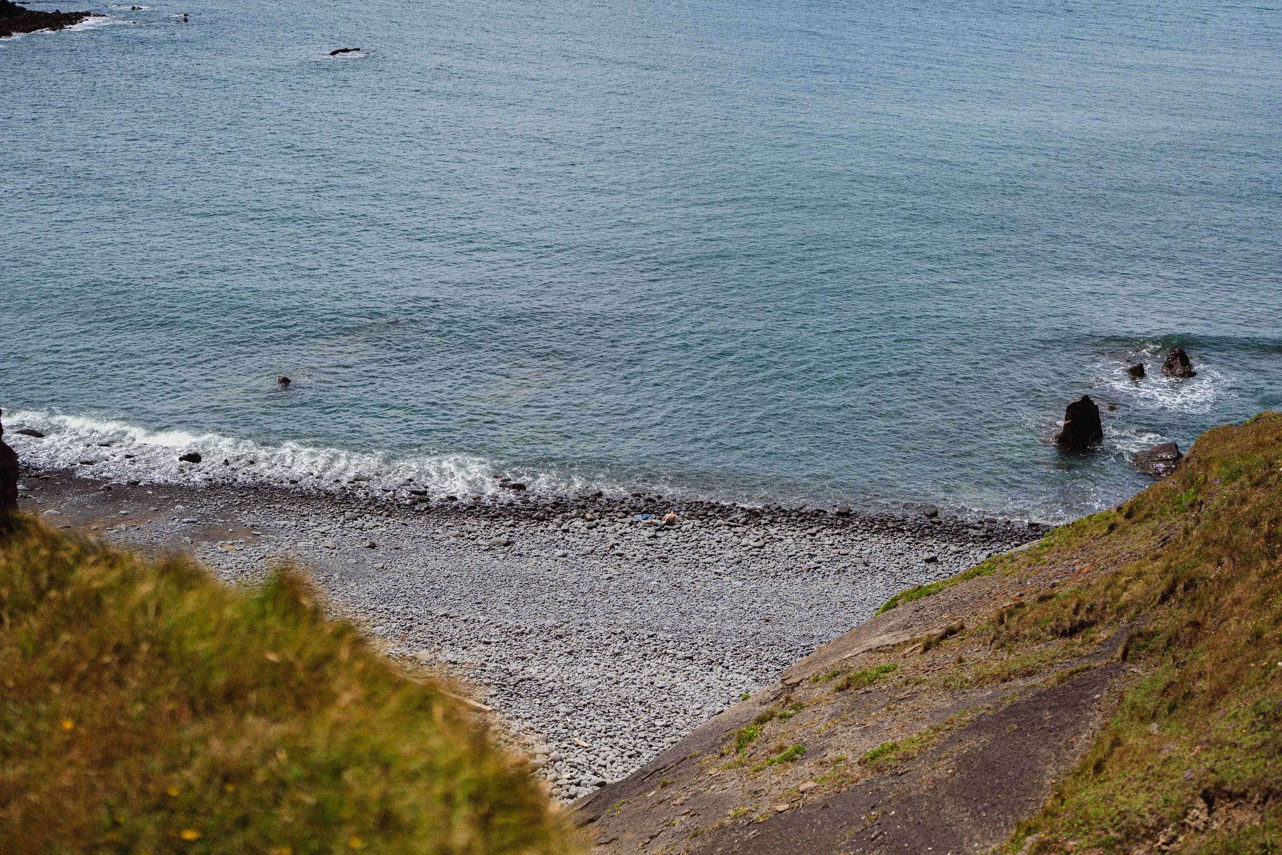 A view of a coastal shoreline with rocks along the water's edge, calm ocean waters, and grassy cliffs in the foreground.
