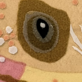 Close-up of eye in Curious Soul