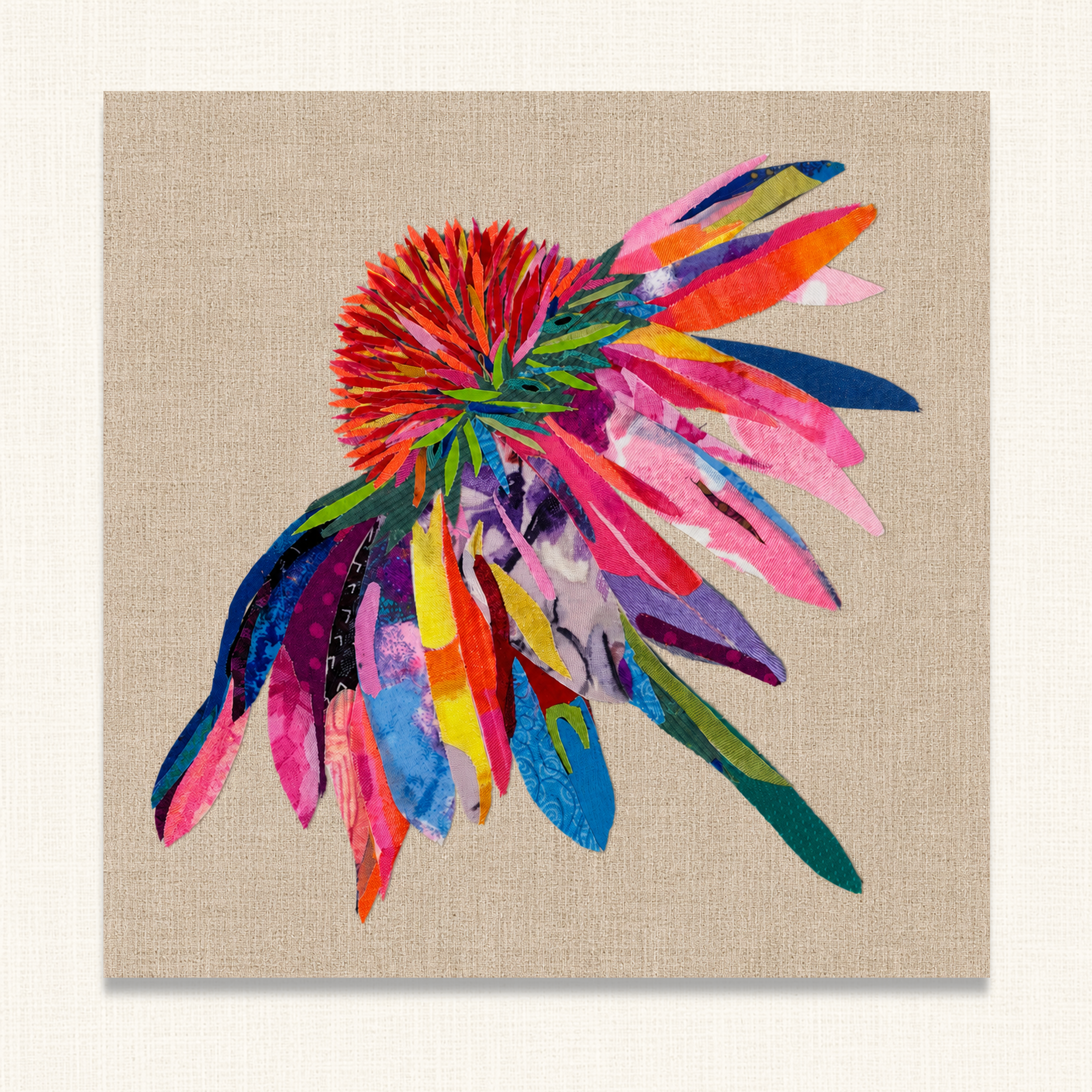 Coneflower Confetti