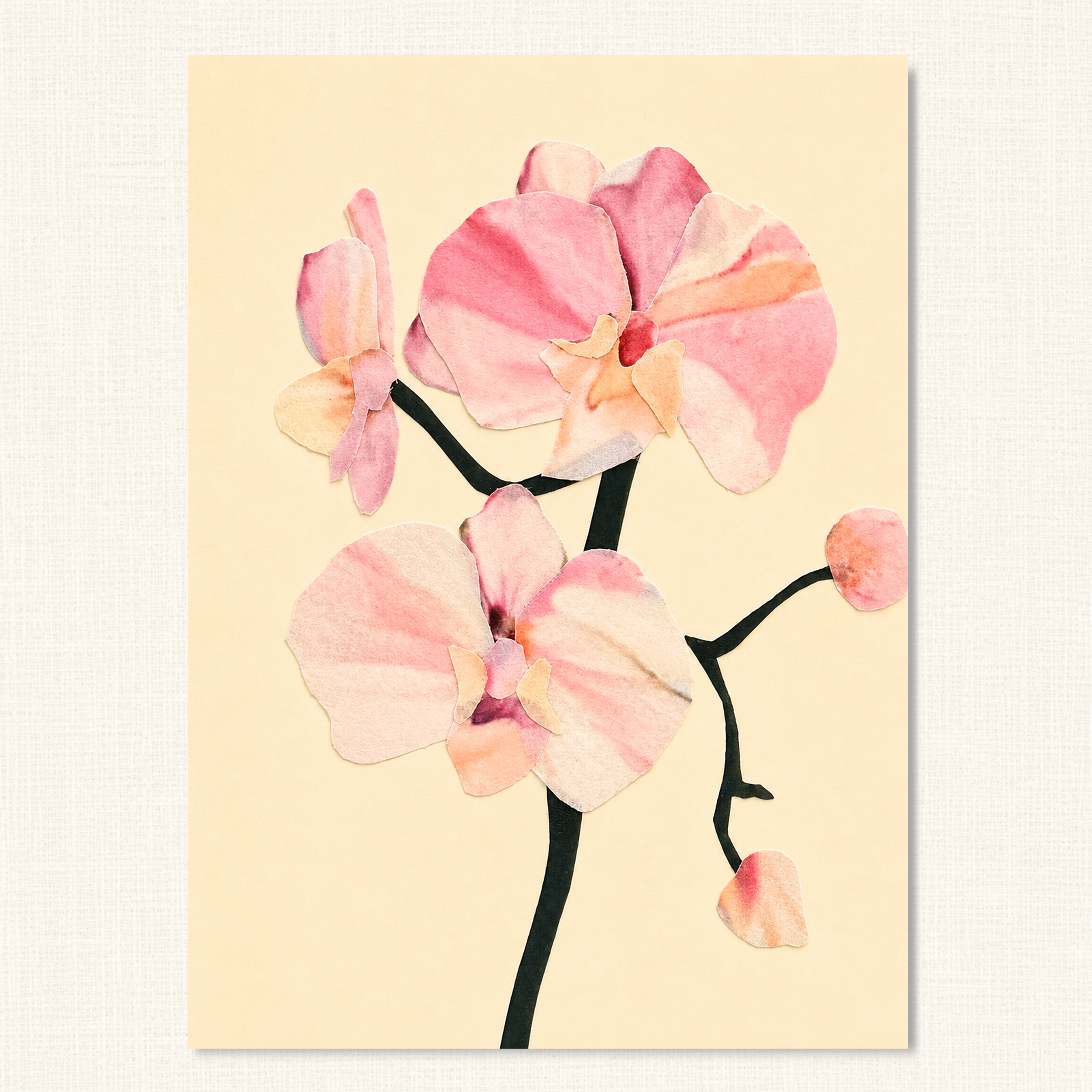Orchids