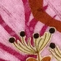 Close-up of coral flower in Seas the Day