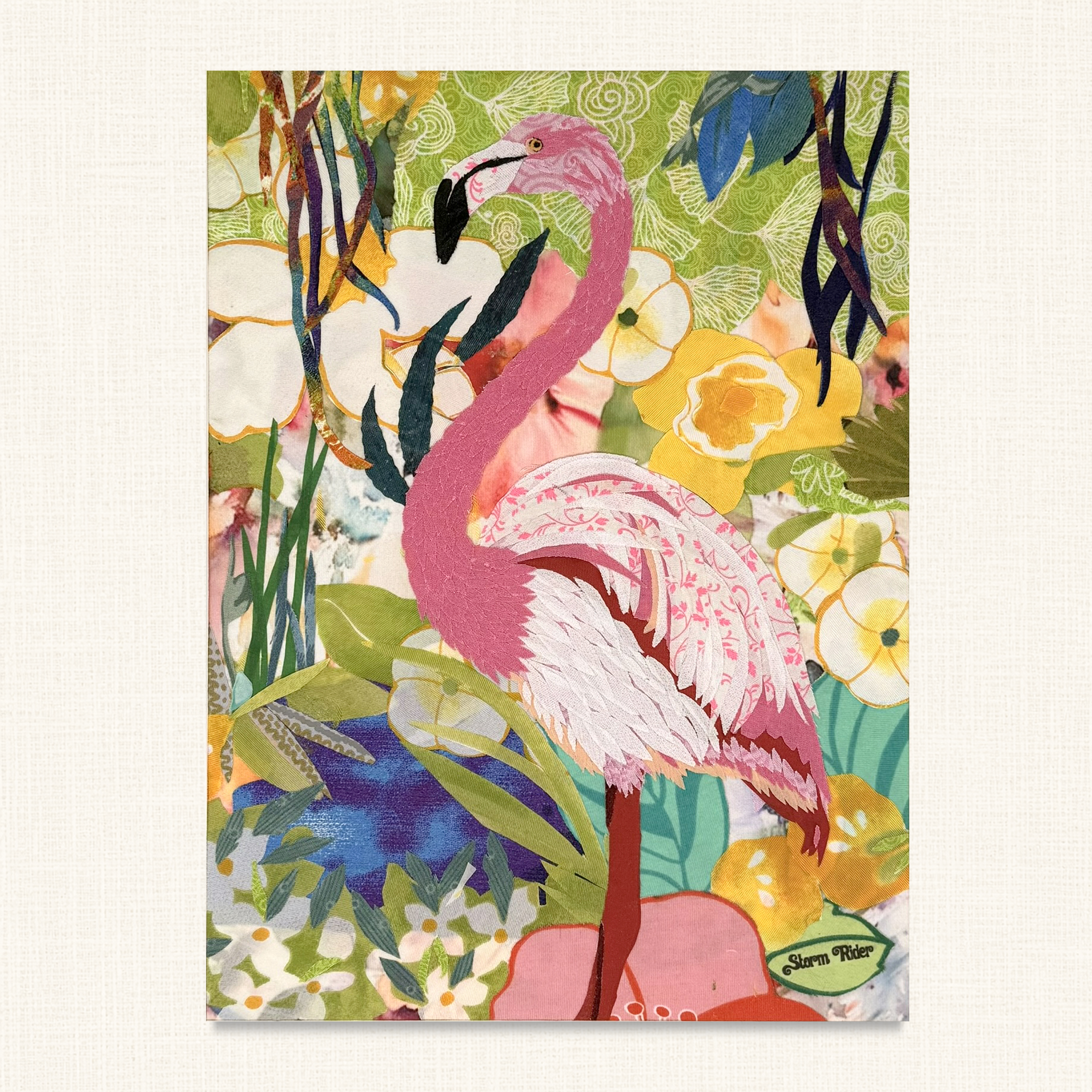 Birds
