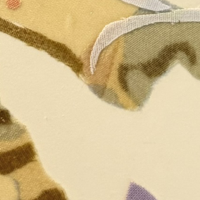Close-up of mouth in Curious Soul