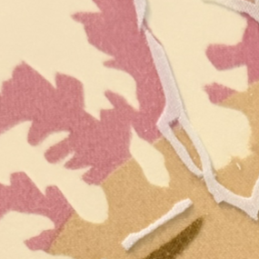 Close-up of fins in Curious Soul