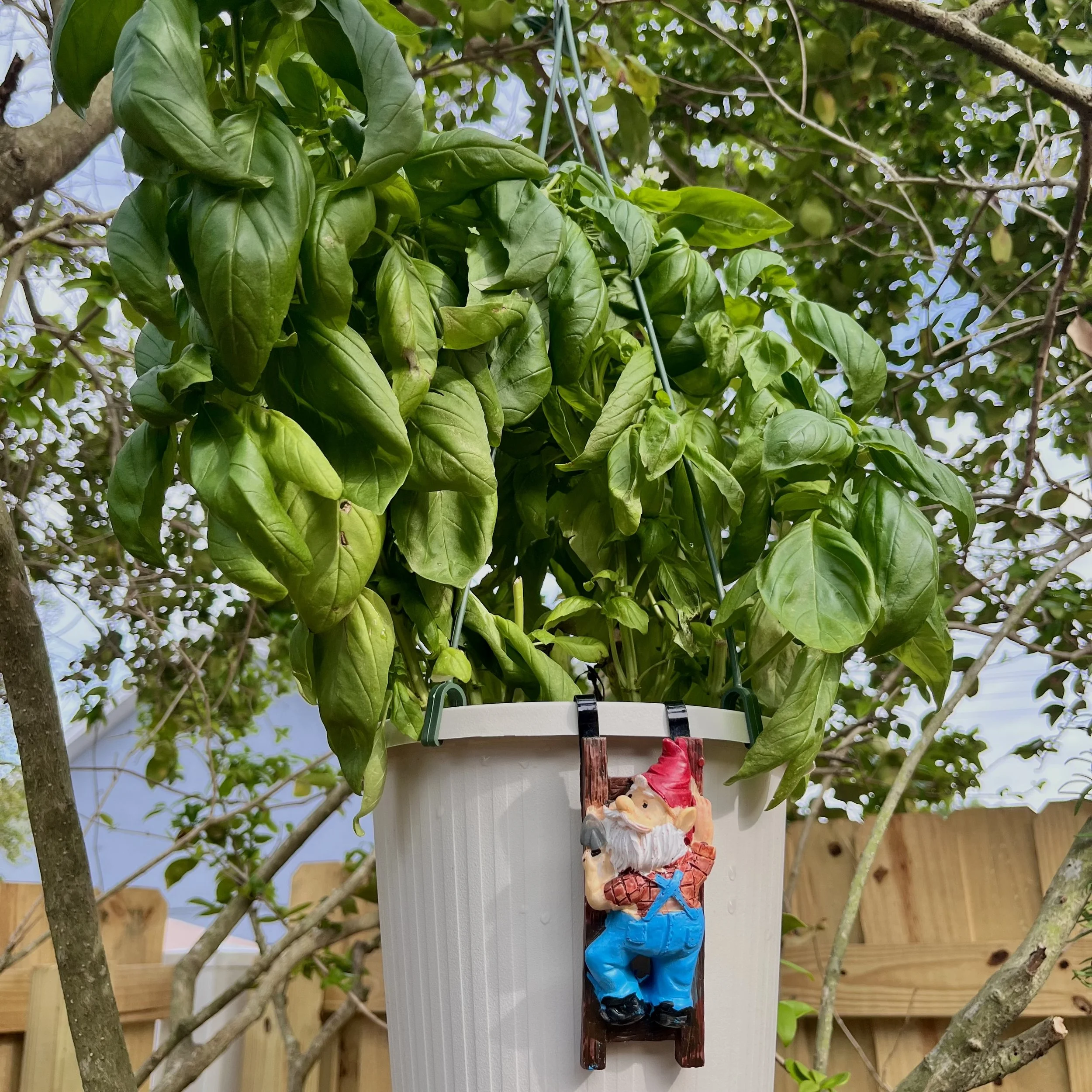 Basil is a Busy Buffer