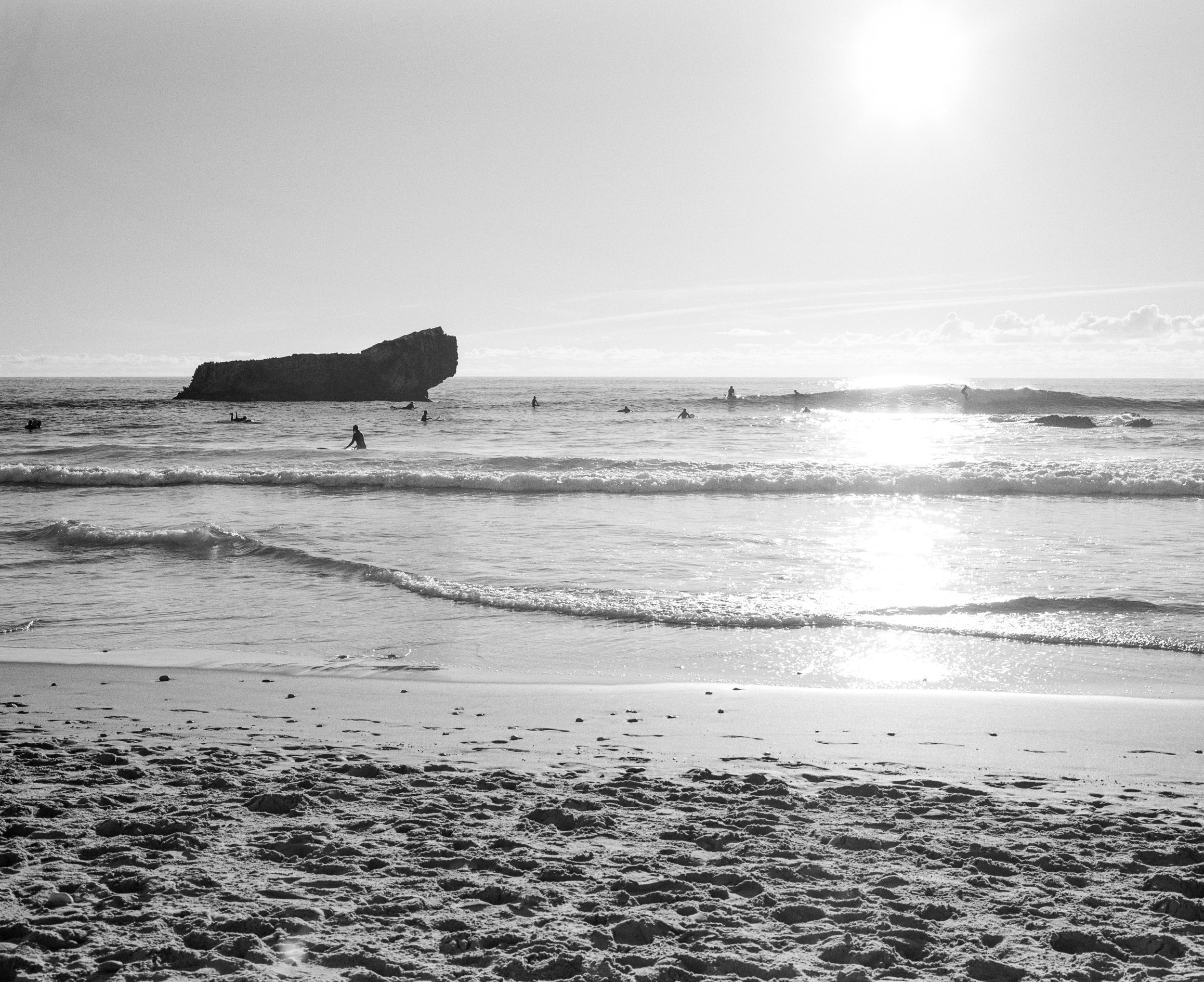 sagressurf6.jpg