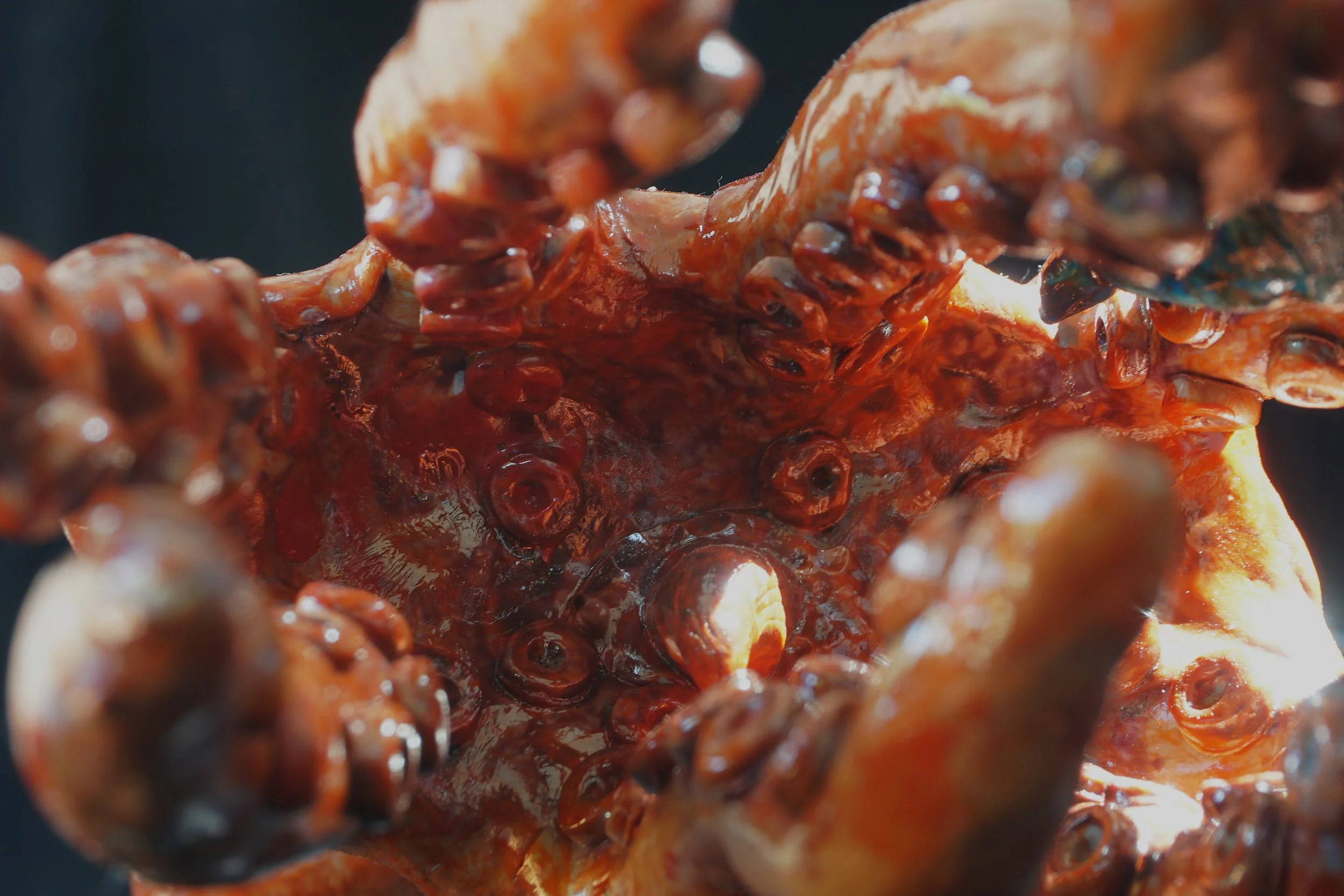 Close-up of grilled skewers with meat and vegetables like onions, coated in barbecue sauce.