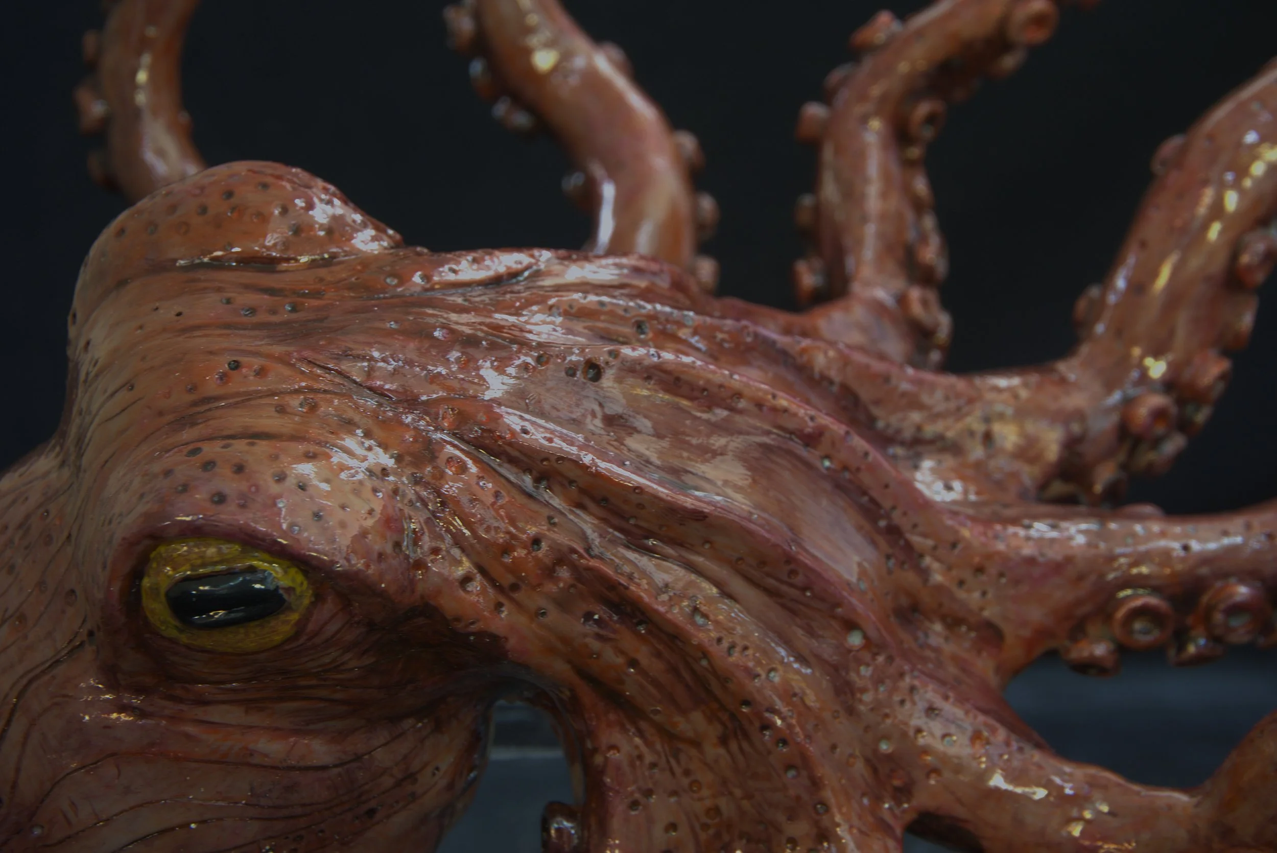 Close-up of a cooked octopus tentacle with textured skin and a yellow-green eye against a dark background.