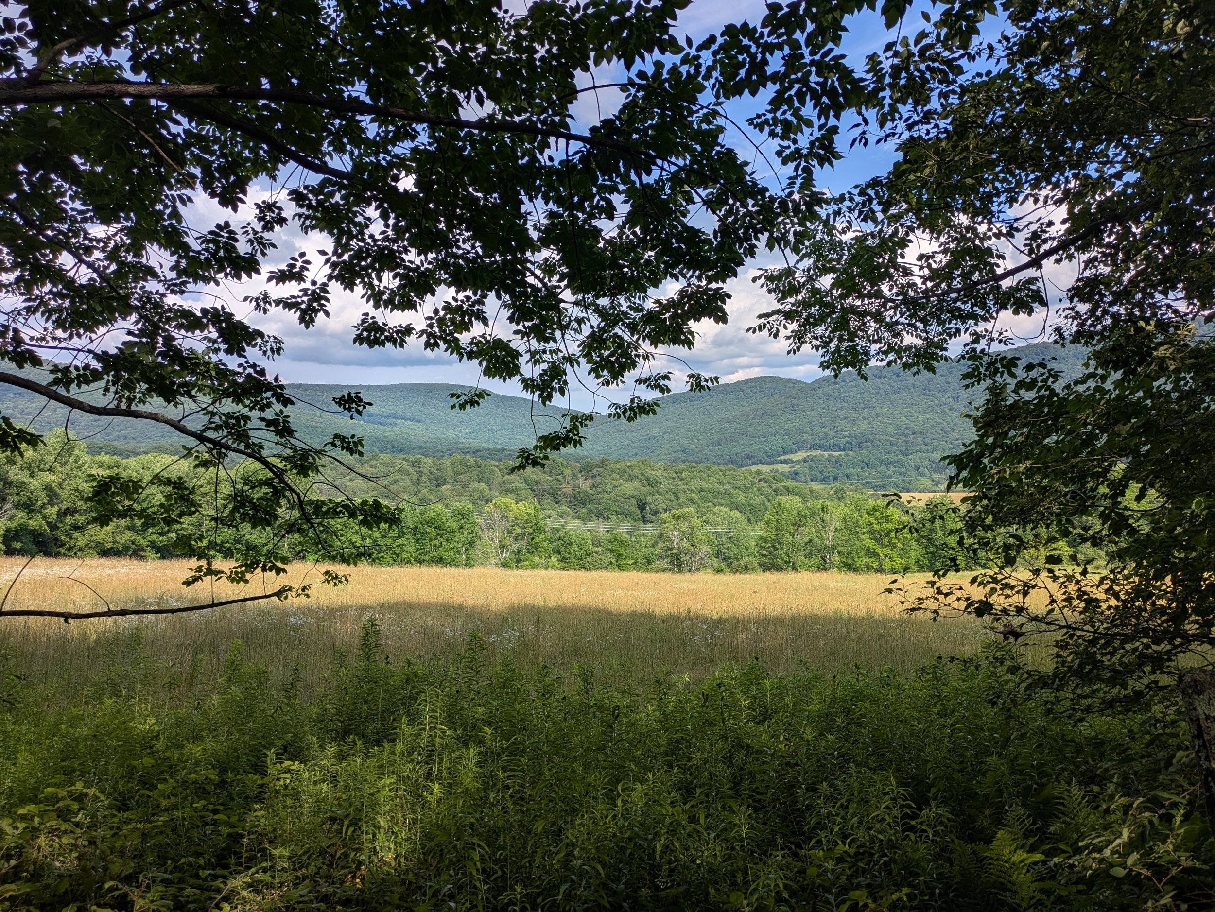 Guide for Things to do in the Western Catskills: