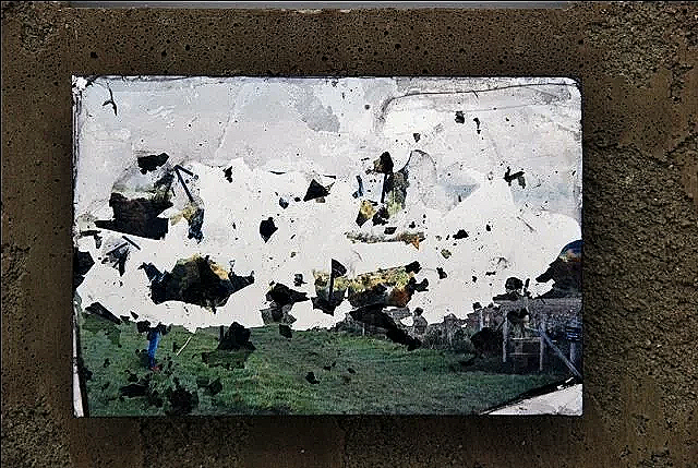 Close-up of a photo print of what was once a landscape image, but now its composition is broken up into fragments like glass shards.