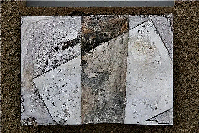 Close-up of a devastated photo print in which the picture surface is completely ruined, leaving a mouldy-looking band in the middle.