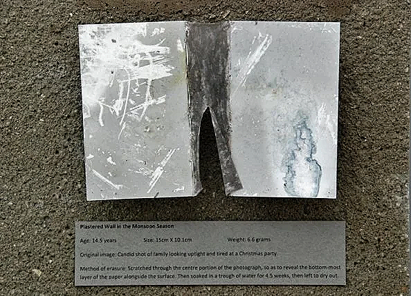 A photo print in a state of disintegration and severe wear and tear, showing a rip in the center and erasure marks on either side.