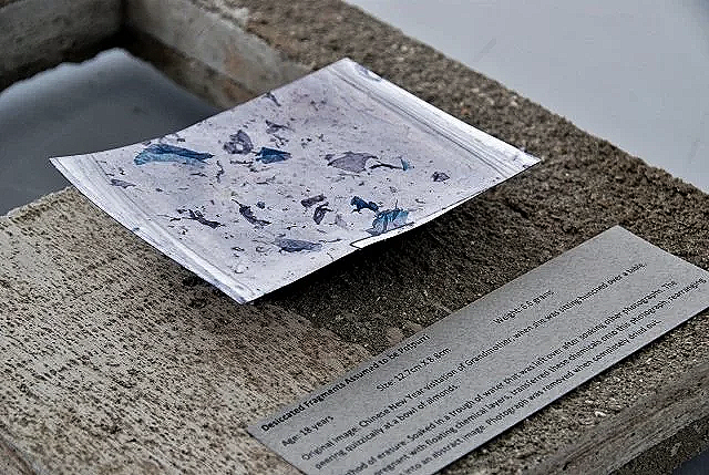 A poetic and mysterious photo print with its image completely dissolved except for floating blue chemical remnants of what was once a picture.