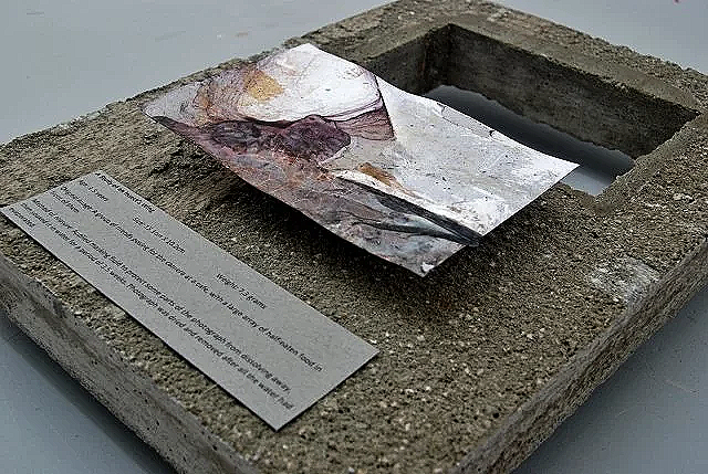 A crumpled photo print with its image surface in ruins after being submerged in water for some time and then dried and displayed on a concrete slab.