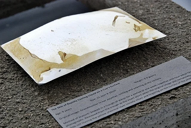 A photo print on a concrete slab that has its picture surface eroded, leaving only yellow sheathes of plastic and a faded image.