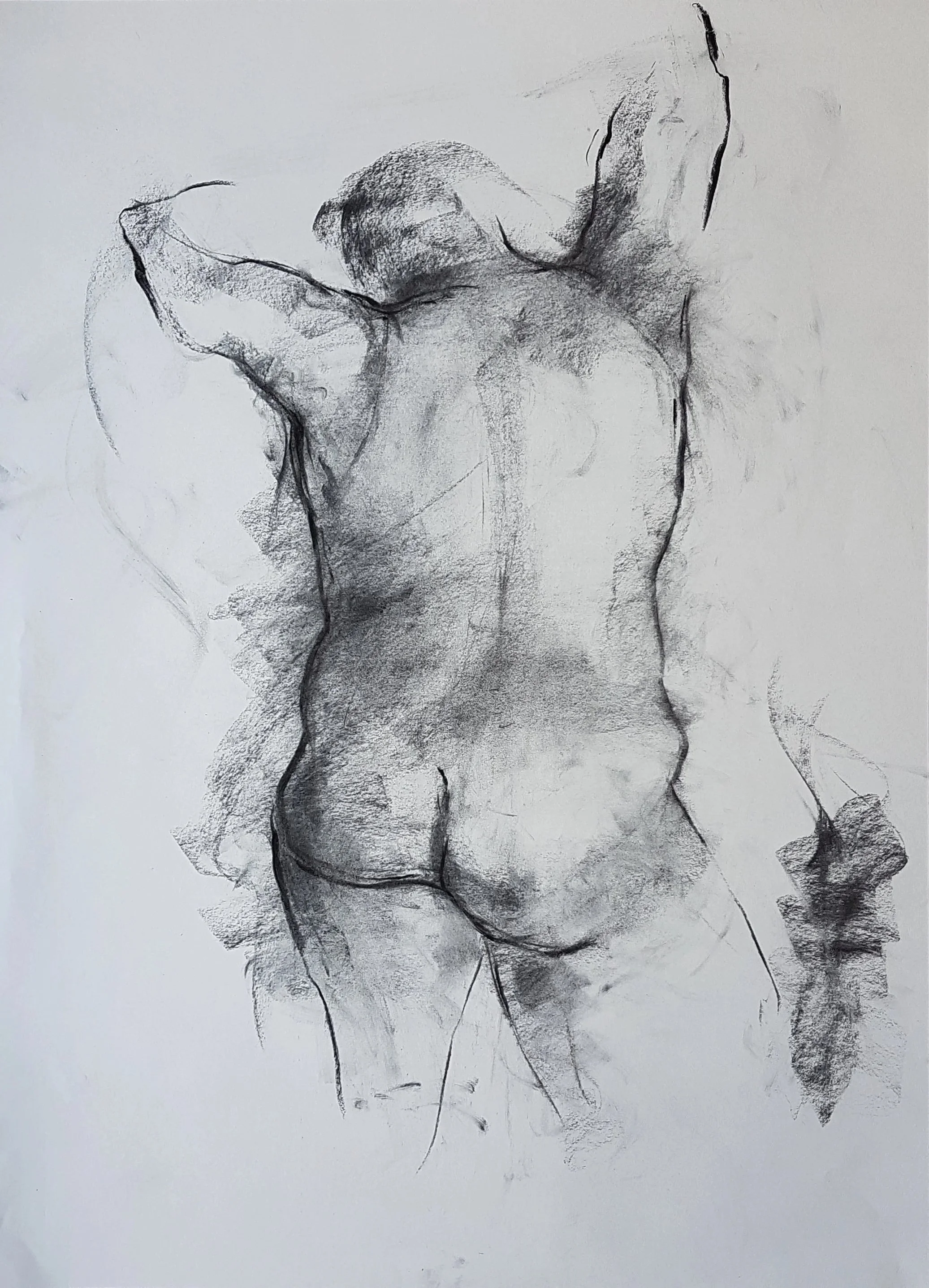 A rather carefree portrait focussing on the spine and back of a nude model, where the heavy line showing a slight tilt of the hip is counterbalanced by a doodle on the other side of the figure.
