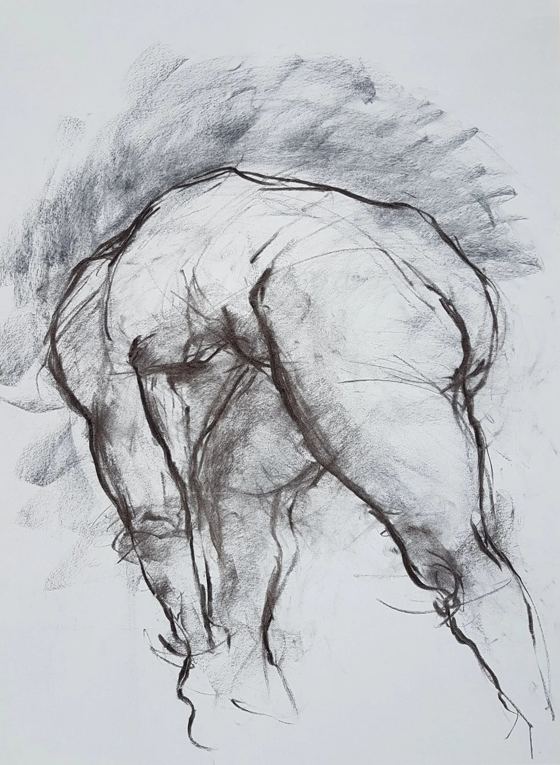 Dramatic and expressive charcoal drawing of a nude male model bending forward in an athletic and highly charged pose, ready to spring into action.