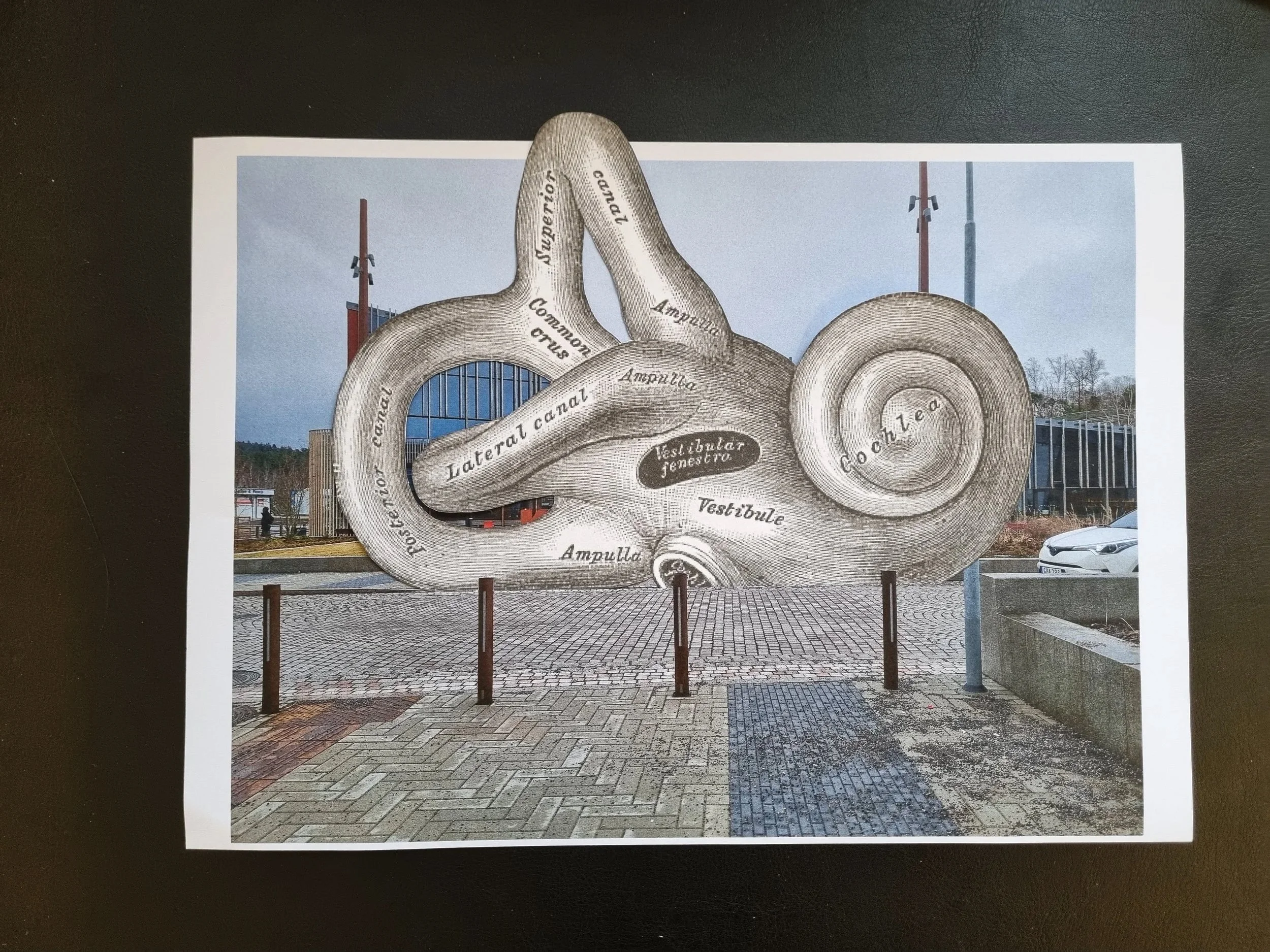 Collage of the human inner ear replacing the entire outdoor facade of Kulturhuset Bergsjön.