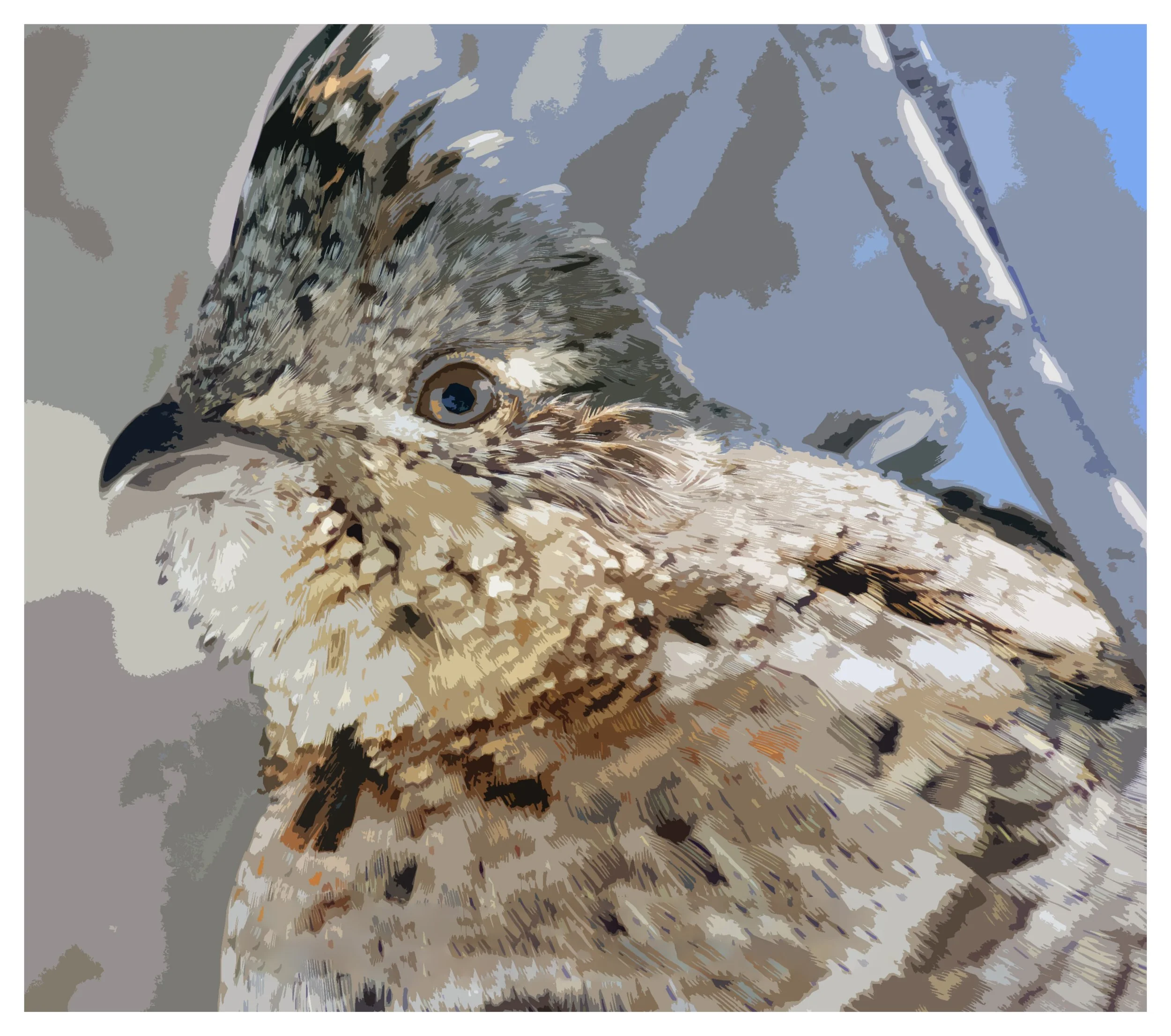 Perched Limited Edition Print - (Artist Candace Jane Johnson) TM Candace Jane
