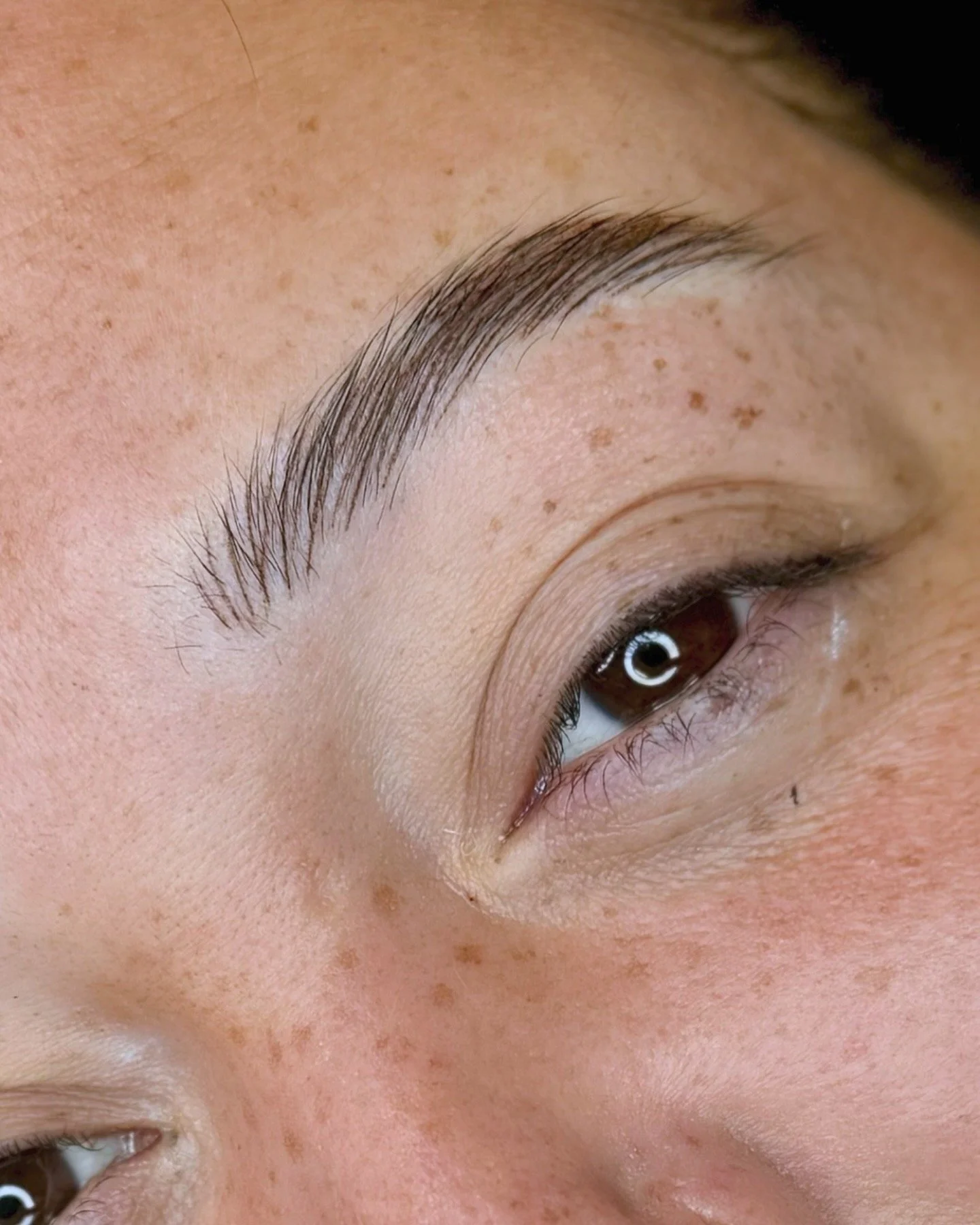 Close-up of a person's eye and eyebrow, showing clear skin with freckles, some eyebrow grooming or makeup done.