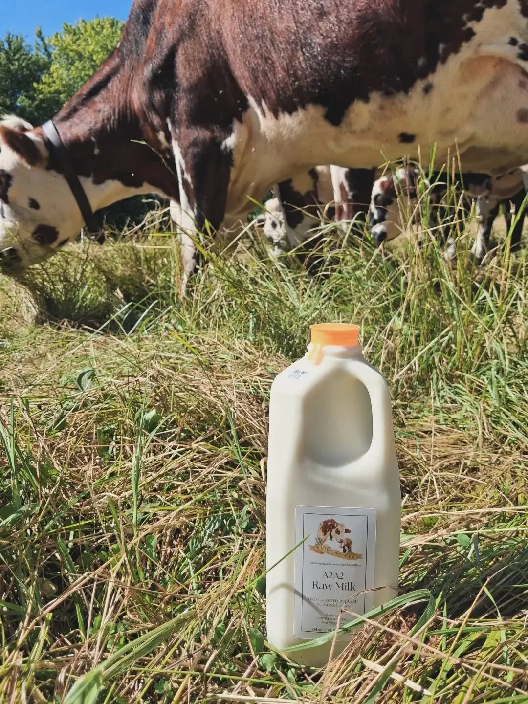 Half Gallon - A2A2 Raw Milk