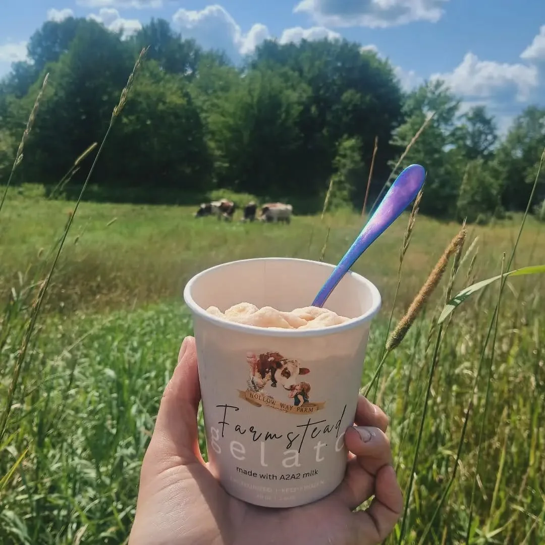 gelato, ice cream, organic, grass-fed, A2A2, normande cows, farmstead, artisan, maine, small farm