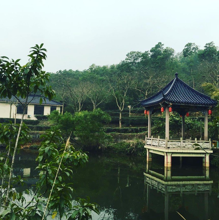 家鄉