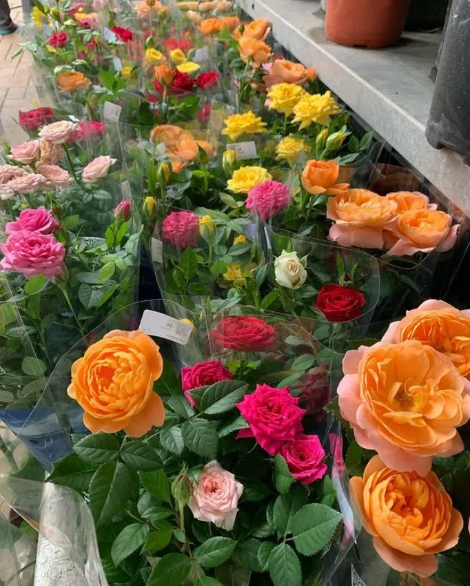 花