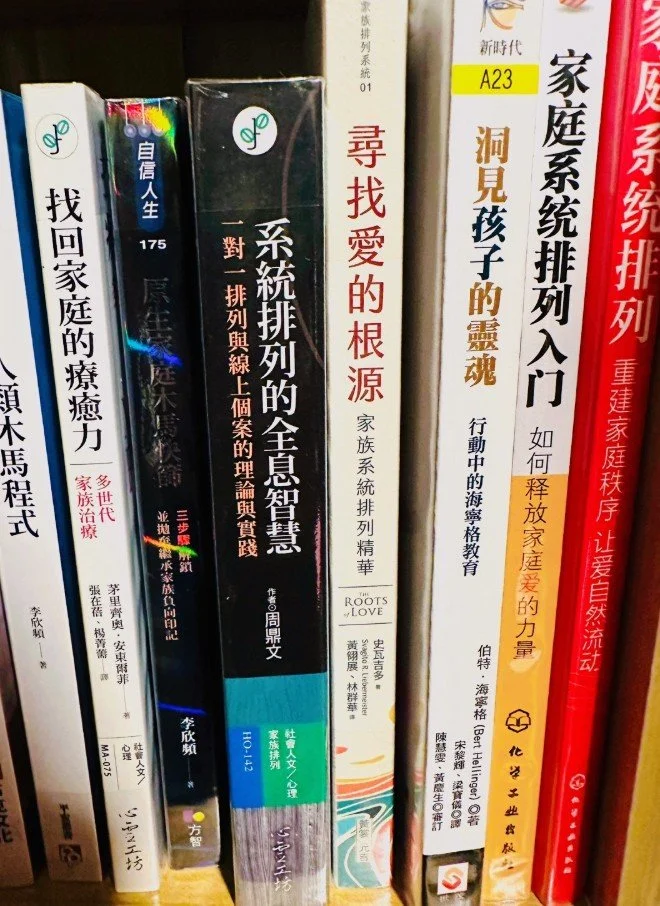 《家庭系統排列》系列：