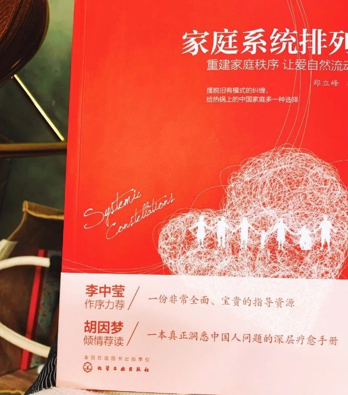 《家庭系統排列》系列：