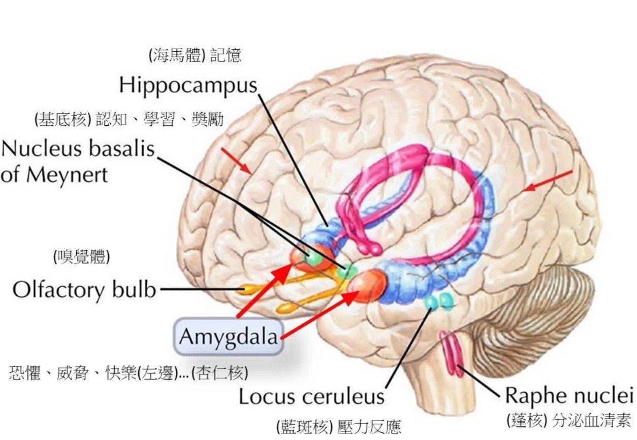 人生使命