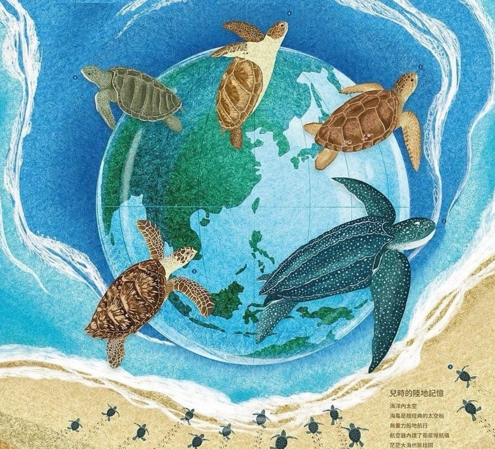 《家庭系統排列》系列： 父親