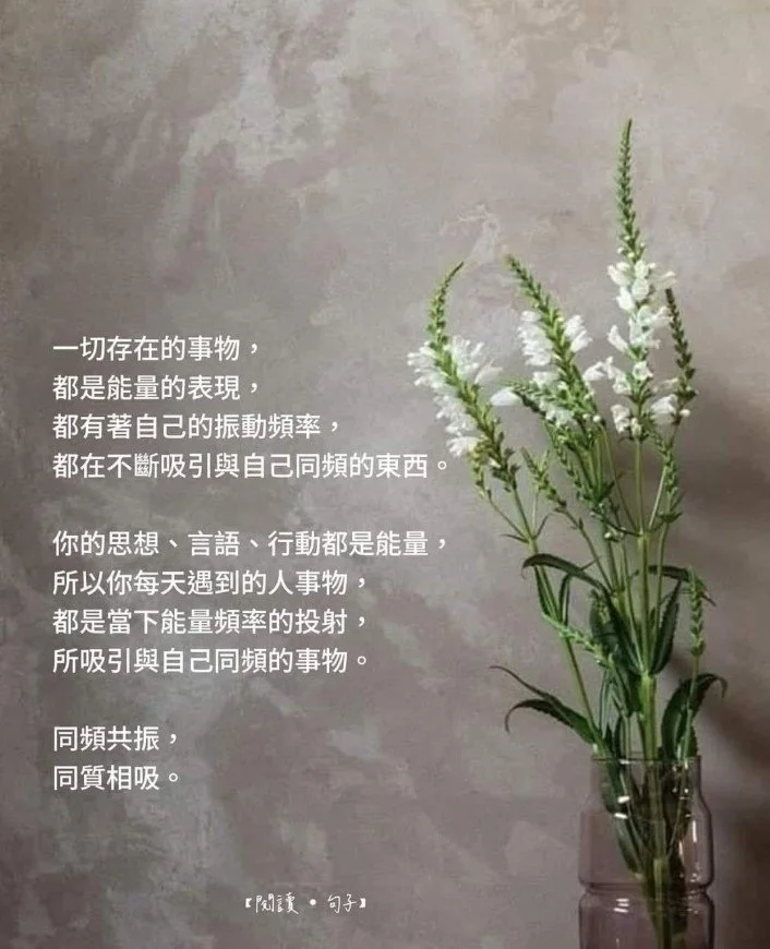 能量 Energy、信息 Information 、意識 Consciousness系列：