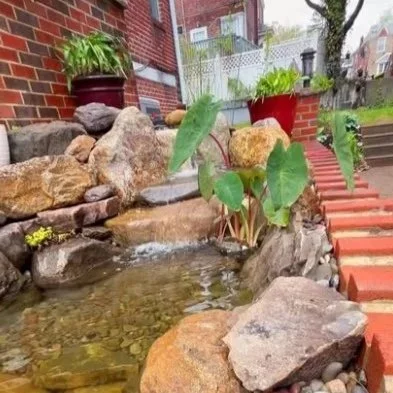 Small garden water feature with rocks, plants, and a brick wall with stairs in the background.